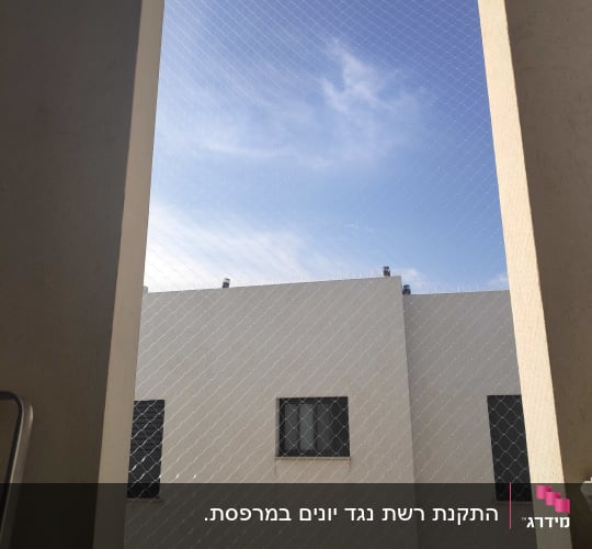 רשת נגד יונים מותקנת על חלון בניין